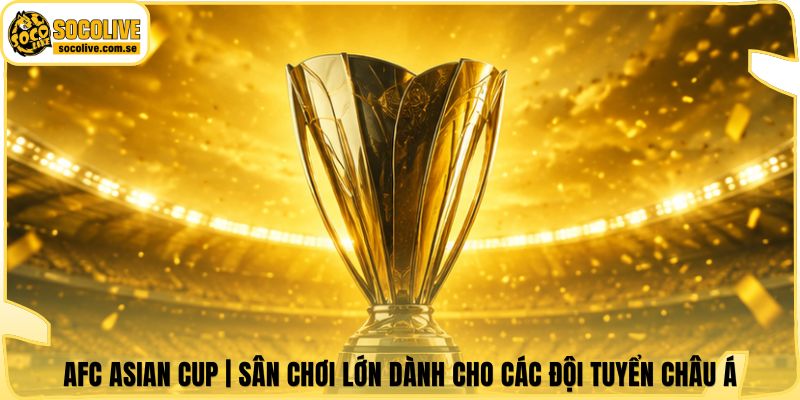 AFC Asian Cup | Sân Chơi Lớn Dành Cho Các Đội Tuyển Châu Á 4 AFC Asian Cup | Sân Chơi Lớn Dành Cho Các Đội Tuyển Châu Á